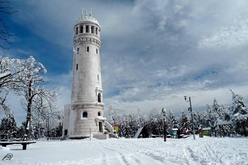 Apartmán U Podnoza Gor Sowich Pieszyce Exteriér fotografie
